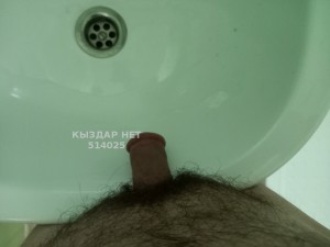 Жиголо Костаная Анкета №514025 Фотография №3837320