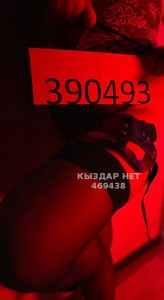 Проститутка Кокшетау Анкета №469438 Фотография №3855209