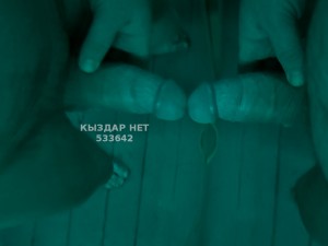 Жиголо Павлодара Анкета №533642 Фотография №3992328