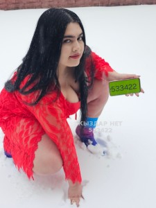 Проститутка Шымкента Анкета №533422 Фотография №4029223